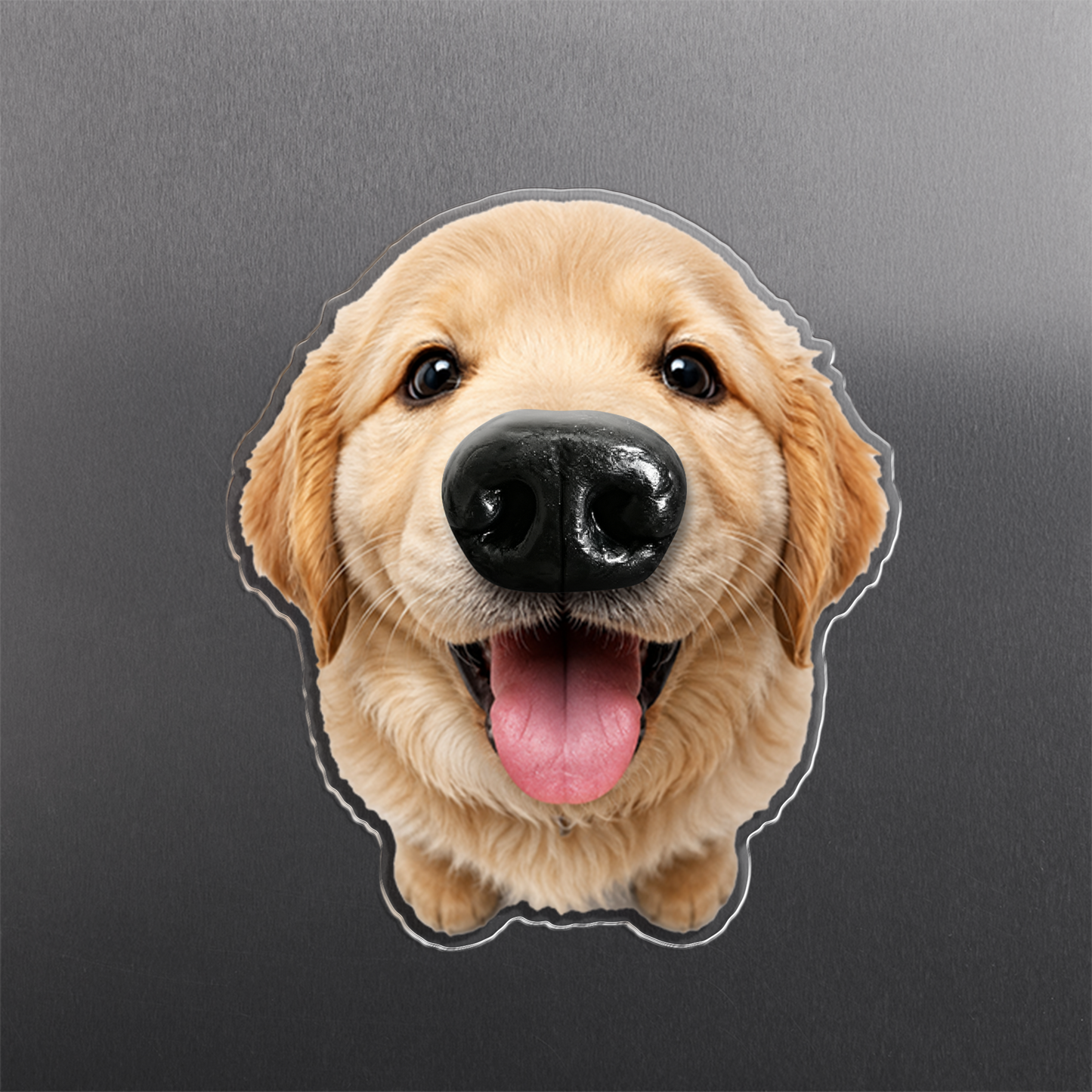 Aimant de Frigo Personnalisé avec Photo de Chien – Nez Souple à Presser, Décoration de Cuisine